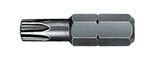 Inserto torx Wekador