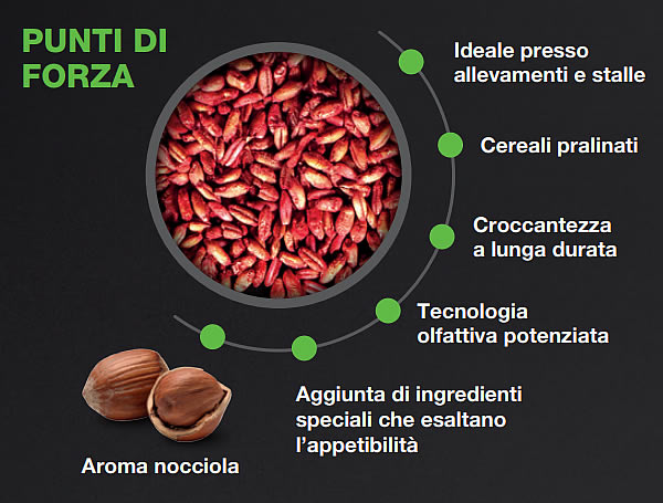 Punti forza Multimix