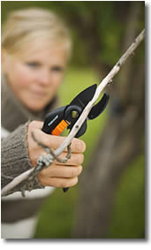 Forbici Fiskars Forbici Fiskars