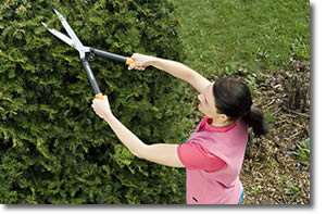 Coltello multiuso Fiskars Forbici Cesoie Fiskars