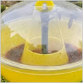 Kit trappola vespe e calabroni P04025INKIT