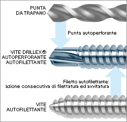 vite con punta auto perforante