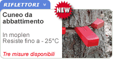 Cunei abbattimento
